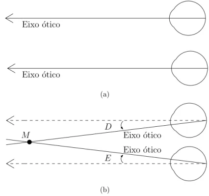 Figura 4.3: Convergˆencia binocular: (a) Quando o objeto de interesse est´a distante, o eixo
