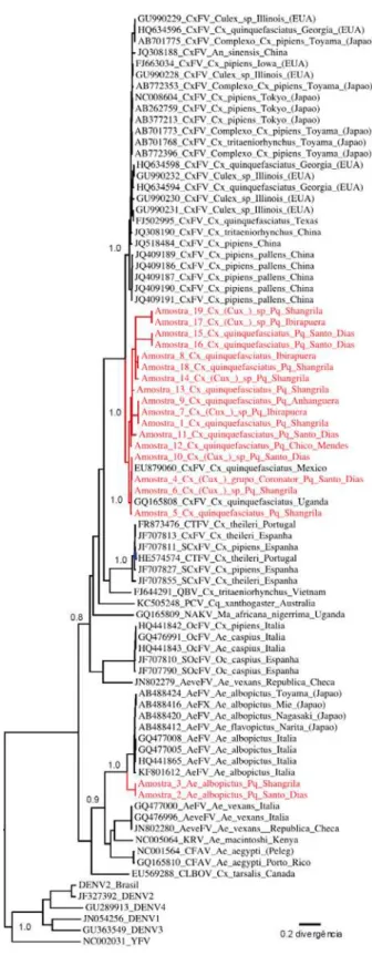 Figura 18.  Árvore filogenética obtida a partir do alinhamento de aproximadamente 200 nucleotídeos de sequências do gene  NS5 de Flavivirus