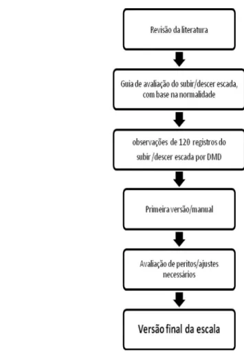 Figura 3. Fases das etapas de construção da EAF. 