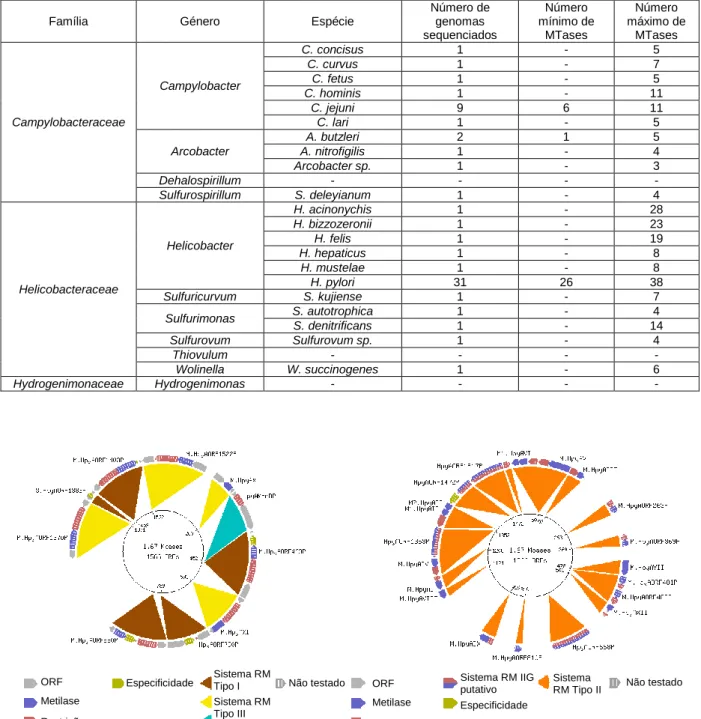 Tabela I.3. – Sistemas RM nos genomas sequenciados da ordem Campylobacterales (adaptado de Roberts et al., 2010)