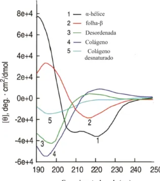 Figura 15 - Espectros característicos de proteínas com predomínio de determinada estrutura  secundária