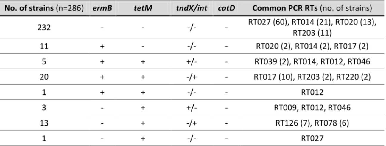 Table 8. Distribution of resistance determinants profiles and common PCR RTs associated