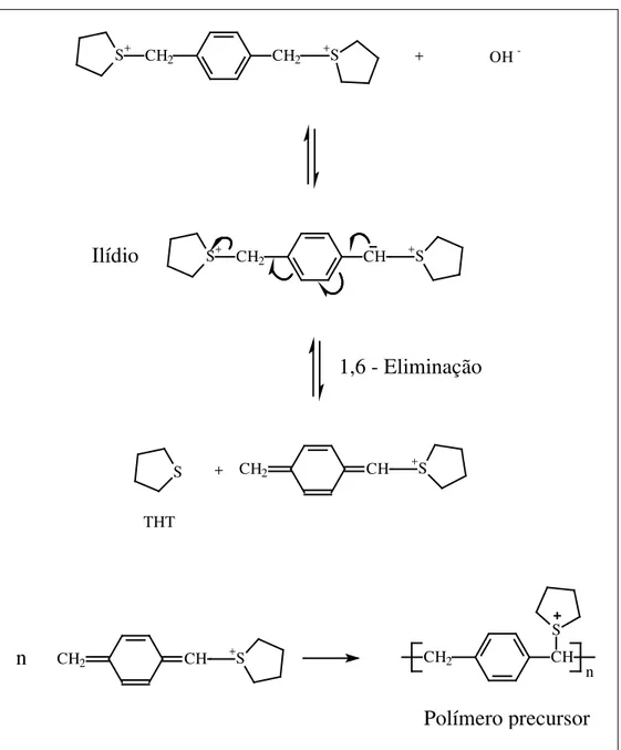 Figura 5: Esquema da reação de formação do polímero precursor 