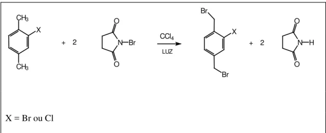 Figura  10:  Esquema  da  reação  de  bromação  dos  reagentes  de  partida  dos  polímeros