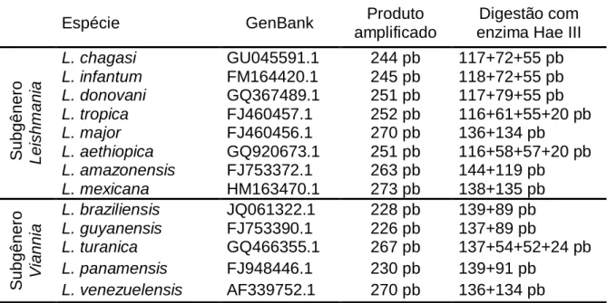 Tabela 4 – Reagentes utilizados para digestão enzimática do fragmento amplificado  ITS1