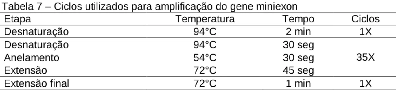 Tabela 7 – Ciclos utilizados para amplificação do gene miniexon 