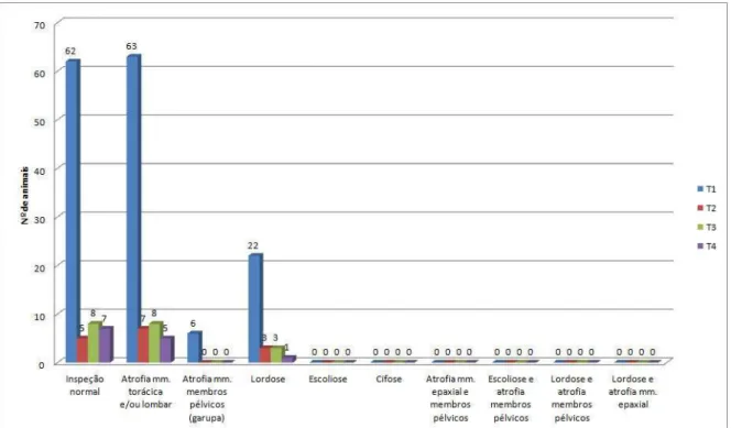 Gráfico 1  –  Número de animais de cada tipo de disco lombossacro segundo alterações na inspeção  da coluna vertebral - CIRALE abril de 2010 a maio 2011 - São Paulo - agosto de 2012 a  maio 2013 