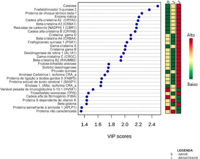 Figura  16:  VIP  scores  das  proteínas  que  melhor  discriminam  as  condições  clínicas  analisadas  (PLS-DA  imp