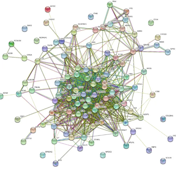 Figura 18: Rede e Análise de Enriquecimento. Vias metabólicas do termo GO detectadas como  reguladas  pelas  plataformas  String