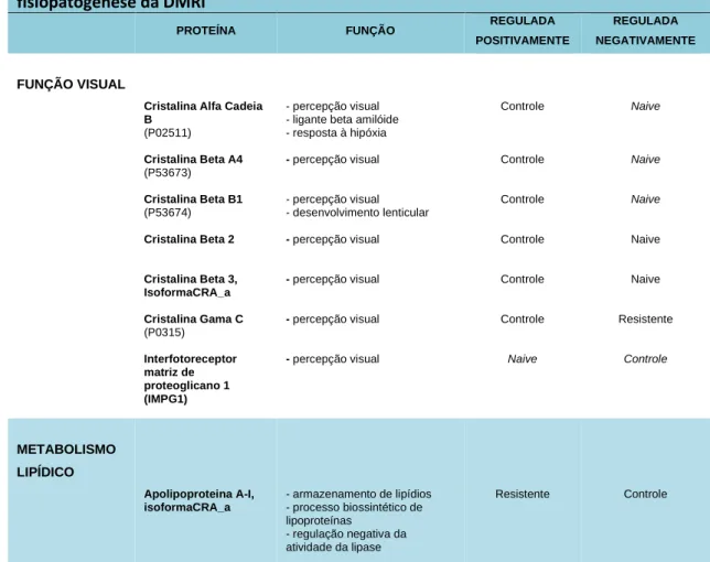 Tabela 3: Proteínas discriminantes selecionadas por função metabólica relacionadas à  fisiopatogênese da DMRI 