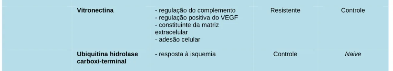 Figura  20:  Agrupamento  das  proteínas  selecionadas  em  vias  moleculares/processos  biológicos