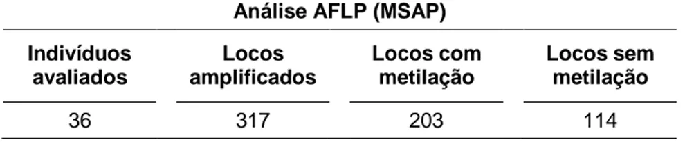 Tabela  4.  Análise  da  fidelidade  epigenética  de  clones  de  dendezeiro  propagados  via  embriogênese  somática  de  folhas  imaturas  por  marcadores  AFLP (MSAP)