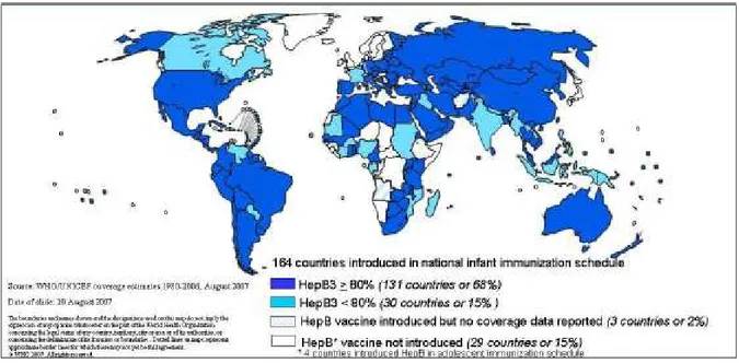 Figura 2 – Cobertura da vacinação contra a hepatite B em 2006, segundo a OMS.