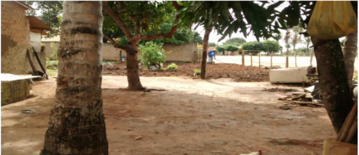 Figura 6. Quintal de uma das casas da comunidade quilombola (2015)
