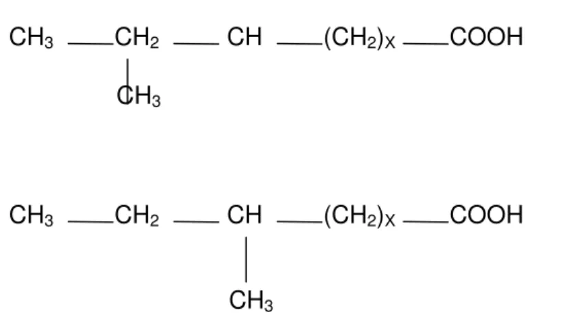 Figura 1 - Estrutura de ácidos iso e anteíso  ( Fonte: Christie, 1982a) 