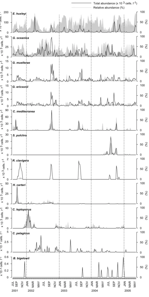 Figure 3 - Weekly distribution (x10 3  cells l -1 ) of the ten coccolithophores observed from  July 2001 to May 2005