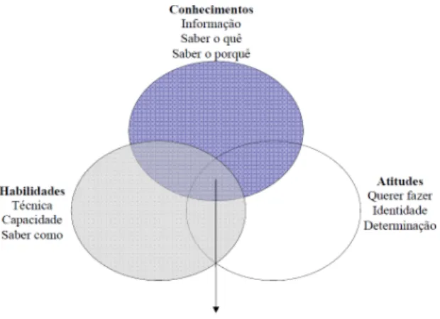 Figura 1 – As três dimensões da Competência