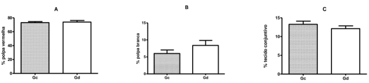 Figura  5:  Gráficos  representativos  dos  valores  obtidos  da  quantificação  (%)  polpa  vermelha  (A),  polpa branca  (B)  e  tecido  conjuntivo  (C)  entre  os animais  negativos (Gc) e positivos (Gd) para FeLV