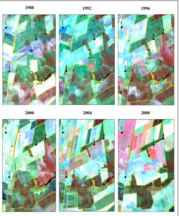 Figura  4.2:  Recorte  da  série  temporal  das  imagens  LANDSAT/TM,  para  os  anos  de  1988,  1992,  1996, 2000, 2004 e 2008, utilizadas para a detecção das alterações nos padrões de uso da Terra.