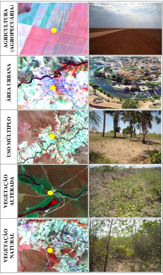 Figura 4.3: Imagens LANDSAT/TM de 2008 e as respectivas fotografias das categorias de  uso e cobertura da Terra