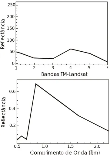 Figura 2 – Comparação das curvas relativas aos números digitais e os valores de reflectância aparente do topo da atmosfera para um pixel de vegetação verde para o sensor TM-Landsat 5.