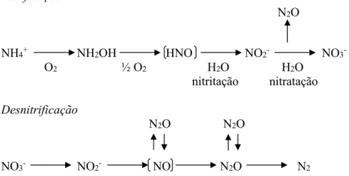 Figura 1 - Esquema dos processos de nitrificação e desnitrificação (Adaptado de Weiske et al., 2001) 