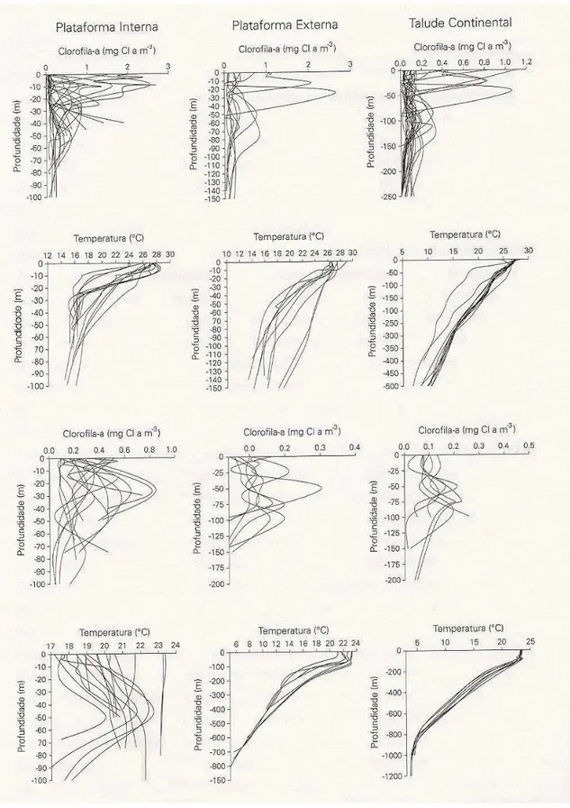 Figura 3.7 - Distribuições verticais de clorofila-a e temperatura na plataforma interna,  externa  e  talude  durante  o  verão  (painéis  superiores)  e  inverno  (painéis  inferiores)  (Gaeta e Brandini, 2006)