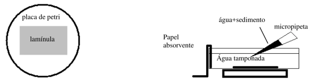 Figura 3 - Esquema simplificado dos materiais e procedimento utilizado na técnica. 