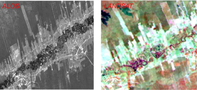 Figura 4: Comparação entre ALOS e LandSat (norte do município) 