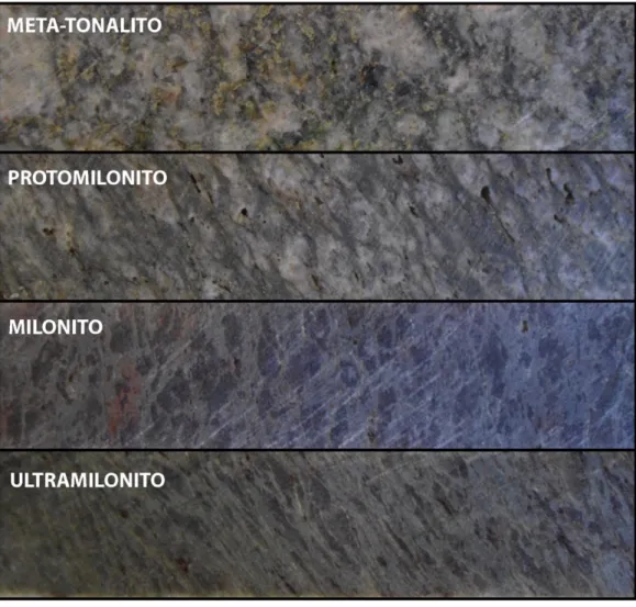 Figura  2.5   -  Fotos  macroscópicas  dos  testemunhos  de  sondagem  representativas  dos  diferentes  graus  de  milonitização  das  rochas  do  depósito Vira Saia