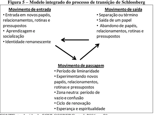 Figura 5 – Modelo integrado do processo de transição de Schlossberg  Movimento de entrada