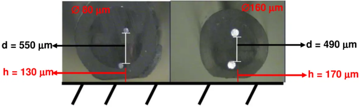 Figura 4.7: Fotografia dos bi-eletrodo de 80 µm e 160 µm utilizados nas medidas de LEIS