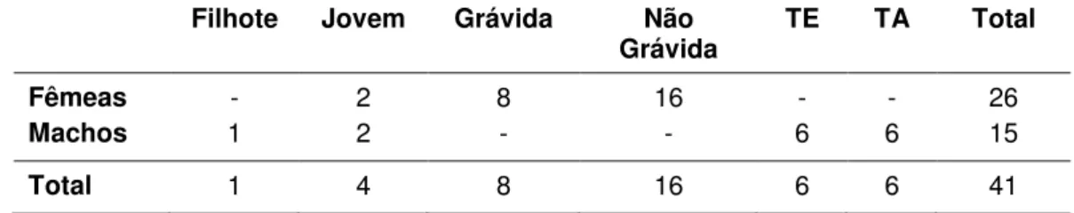 Tabela 3. Composição sexual, etária e reprodutiva do Agrupamento 3 de D. rotundus no  Abrigo  Diurno  Mina  Faz