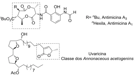 Figura 2. Estruturas de compostos naturais relevantes com a unidade -butirolactônica