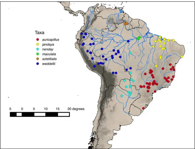 Figure  5.  Distribution  of  analyzed  specimens  of  Aratinga  with  locality  information  on  label