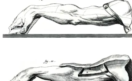 Fig. 2  Denis Diderot &amp;, Jean d´ Alembert 