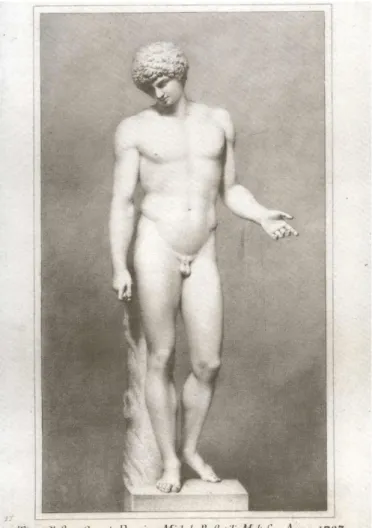 Fig. 6  Michele Bussotili Maltese  Antinoo Capitolino 