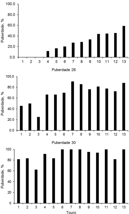 Figura 3 - Porcentagem de novilhas que entraram em puberdade até os 18, 26 e 30 meses de idade  de acordo com o pai das novilhas (Touro)  
