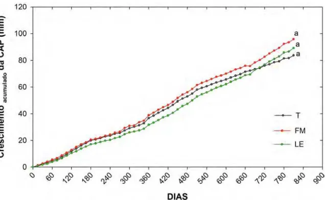 Figura  2.7  –  Crescimento  acumulado  da  CAP  dos  troncos  das  árvores  de  E.  grandis,  cultivadas  após  desbaste  em  Latossolo  Vermelho  Escuro  (LVE),  entre  02/11  e  03/13,  em  função  dos  tratamentos:  Testemunha  (T),  efeito  residual  