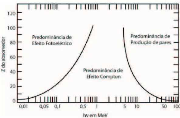 Figura 1: Faixa de predominância, o número atômico (Z) do material absorvedor, em de ocorrência  dos efeitos de interação da radiação em função da energia do fóton incidente (hν) (2,20) 