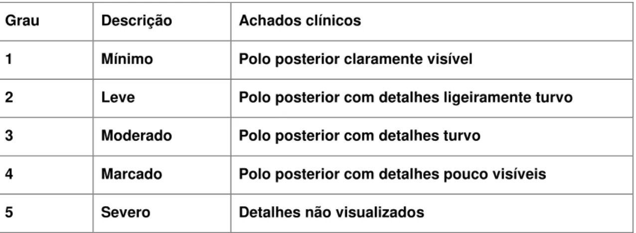 Figura 5. Graduação da hemorragia vítrea pela oftalmoscopia indireta 