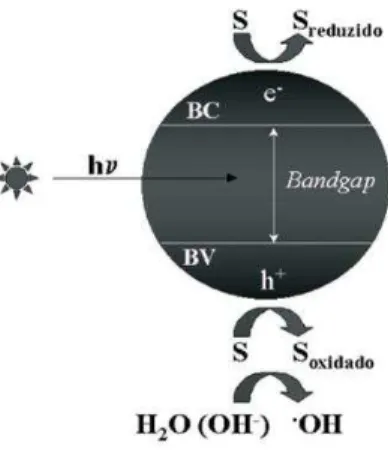 FIGURA 2. Representação esquemática dos processos envolvidos na fotocatálise,  onde hv é a energia aplicada, S é a espécie adsorvida, BC é a banda de condução e  BV a banda de valência (Fonte: TAUCHERT, ZAMORA, 2004)