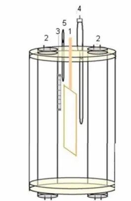 FIGURA 3: Reator fotoeletrocatalítico. Fotoanodo de Ti/TiO 2  preparado pelo método  de sol–gel (eletrodo de trabalho) (1) iluminado por duas lâmpadas germicidas  comerciais Phillips de 4Wcm − 2  operando como fonte de luz UV (315–400 nm)  montada a 5 cm e