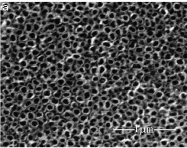 FIGURA 4.  Micrografia eletrônica de varredura da superfície do filme de TiO 2  obtido  de anodização (Fonte: LU et al., 2008)