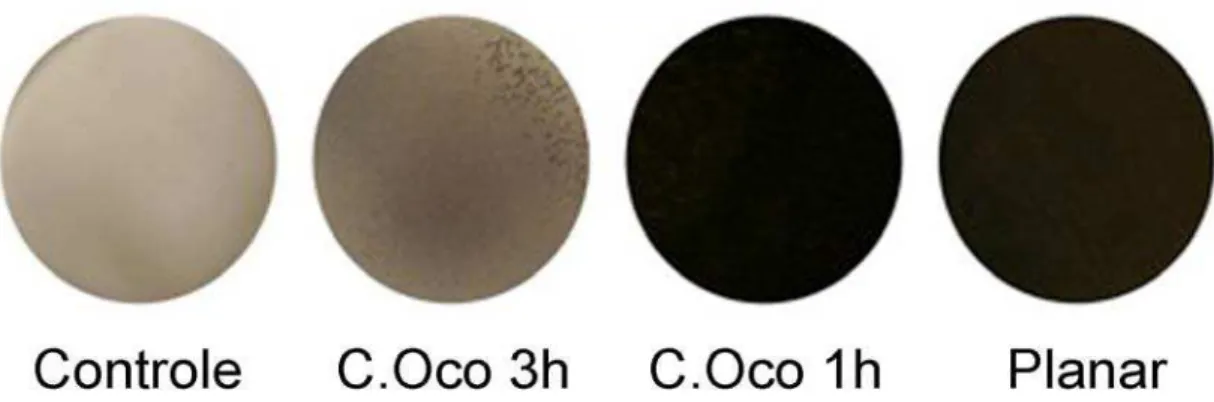 Figura 5. Aspectos macroscópicos dos discos de Ti Controle e tratados. 