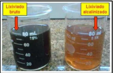 Figura 20 – Remoção de cor do lixiviado bruto após o ajuste de pH com cal. Fonte: Ferraz,  2010