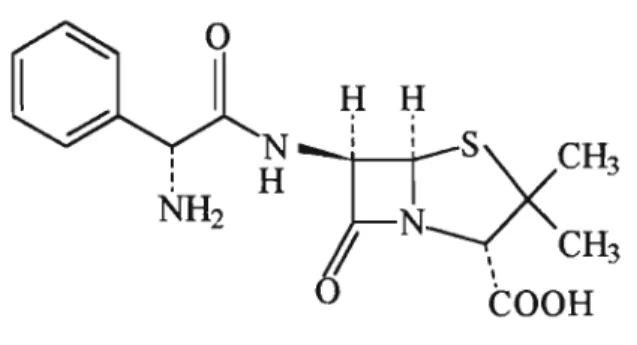 Figura 1 : Estrutura química da ampicilina