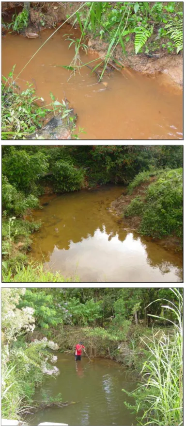 Figura 5 – Estações 1, 2 e 3 respectivamente, localizadas na microbacia do rio Canha, município de  Jacupiranga-SP