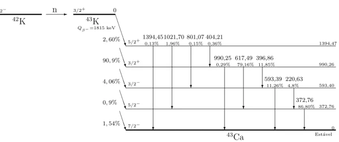 Figura 3.3: Rea¸c˜ ao 42 K(n, γ) 43 K e esquema de decaimento do 43 K [60].