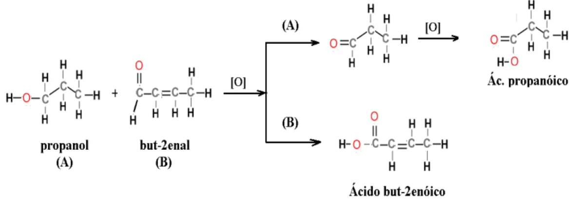 Figura 15: Representação, fórmulas estruturais, de vias reacionais propostas para  oxidação de propanol (álcoois) e aldeídos até a formação de ácidos carboxílicos
